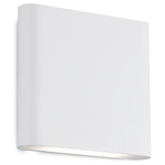 Slate Indoor / Outdoor Wall Sconce - White / Frosted