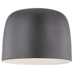 Cayne Ceiling Light Fixture - Black / White