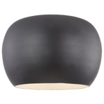 Croft Ceiling Light Fixture - Black / White