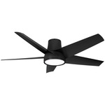 Chubby II Outdoor Smart Ceiling Fan with Light - Coal / Coal