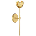 Caprice Wall Sconce - True Gold