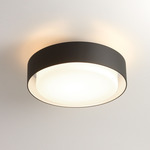 Plaff-On Wall / Ceiling Light - Black / Opal