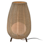Amphora Outdoor Hardwired Floor Lamp - Brown / Light Beige