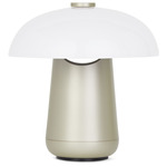 Ongo Portable Lamp - Warm Nickel / Etched Glass