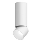Entra 3 Inch LED Adjustable Cylinder Ceiling Light - White / White