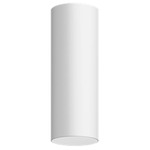 Entra 3 Inch LED Fixed Cylinder Ceiling Light - White / White