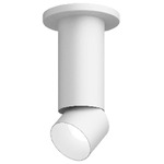 Entra 3 Inch LED Adjustable Cylinder Ceiling Light - White / White