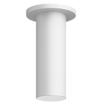 Entra 3 Inch LED Fixed Cylinder Ceiling Light - White / White