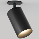 CM1 Adjustable Monopoint Spot Light - Brushed Obsidian / Black Baffle