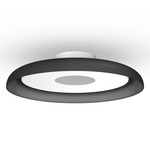 Nivel Wall / Ceiling Light - White / Black