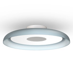 Nivel Wall / Ceiling Light - White / Slate Blue