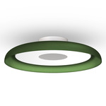 Nivel Wall / Ceiling Light - White / Forest Green