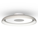 Nivel Wall / Ceiling Light - White / White