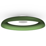 Nivel Wall / Ceiling Light - White / Forest Green