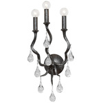 Aveline Wall Sconce - Blackened Silver Leaf / Clear