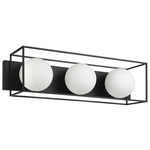 Grayson Wall/ Ceiling Light - Matte Black / White