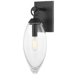 Nantucket Wall Sconce - Black Brass / Clear