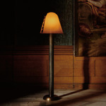 Calla Floor Lamp - Blackened Brass / Tobacco with Ink Embellishments
