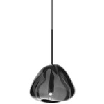 Blob II LED Pendant - Black / Smoke