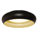 Kayce Color Select Ceiling Light - Black