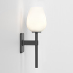 Tacoma Tulip Wall Sconce - Matte Black / White