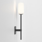 Tacoma Reed Wall Sconce - Matte Black / White