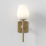 Tacoma Tulip Wall Sconce - Antique Brass / White