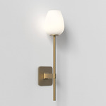 Tacoma Tulip Wall Sconce - Antique Brass / White