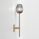 Tacoma Tulip Wall Sconce - Antique Brass / Smoke Ribbed