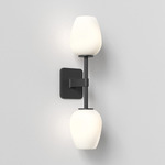 Tacoma Tulip Twin Wall Sconce - Matte Black / White