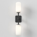 Tacoma Reed Twin Wall Sconce - Matte Black / White