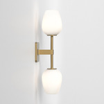 Tacoma Tulip Twin Wall Sconce - Antique Brass / White