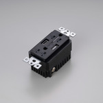 Buster + Punch Outlet Module - Black