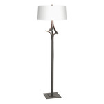 Antasia Floor Lamp - Natural Iron / Natural Anna