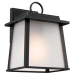 Noward Outdoor Wall Sconce - Black / Satin Etched