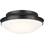 Bretta Ceiling Light - Black / Satin Etched