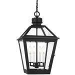 Hyannis Pendant - Textured Black / Clear