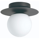 Arenales Ceiling Light - Black / Opal