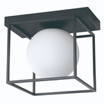 Grayson Wall/ Ceiling Light - Matte Black / White