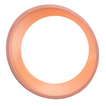 Coupe Ambiance Wall Sconce - Gloss Blush