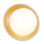 Coupe Ambiance Wall Sconce - Matte White / Champagne Gold