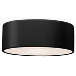 Radiance Round Outdoor Ceiling Light Fixture - Carbon / White