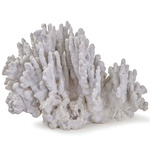 Coral Art Piece - Coral