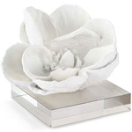 Magnolia Object - White / Clear