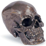 Metal Skull - Bronze