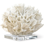 Ribbon Coral Object - White / Clear