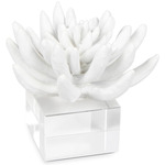 Succulent Sculpture - White / Crystal