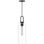 Soji Pendant - Matte Black / Clear