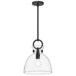 Waldo Pendant - Clear Glass / Matte Black