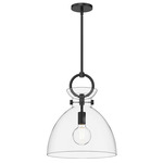 Waldo Pendant - Clear Glass / Matte Black